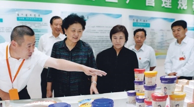 原中共中央政治局委員、國務院副總理劉延東視察我公司